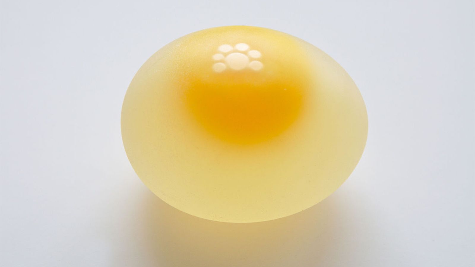 Qué es la Membrana de huevo
