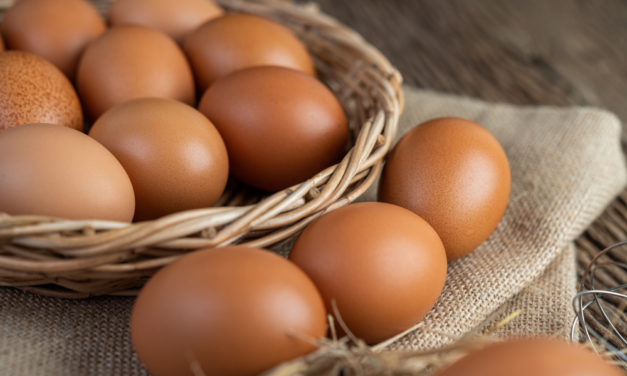 La verdad sobre el consumo de huevo en la salud